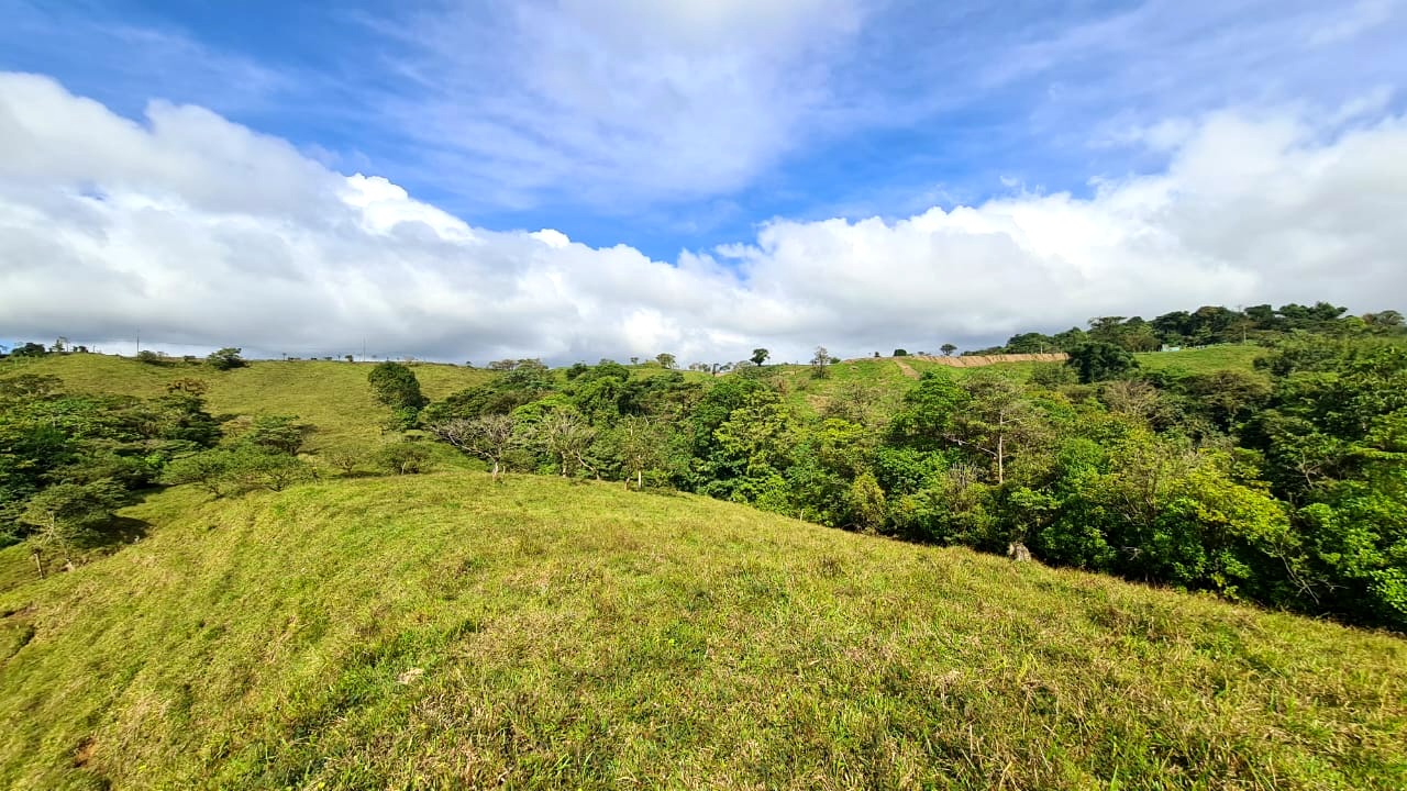 Amazing Opportunity, 2 Hectare, Lake View Parcel in Nuevo Arenal photo 11