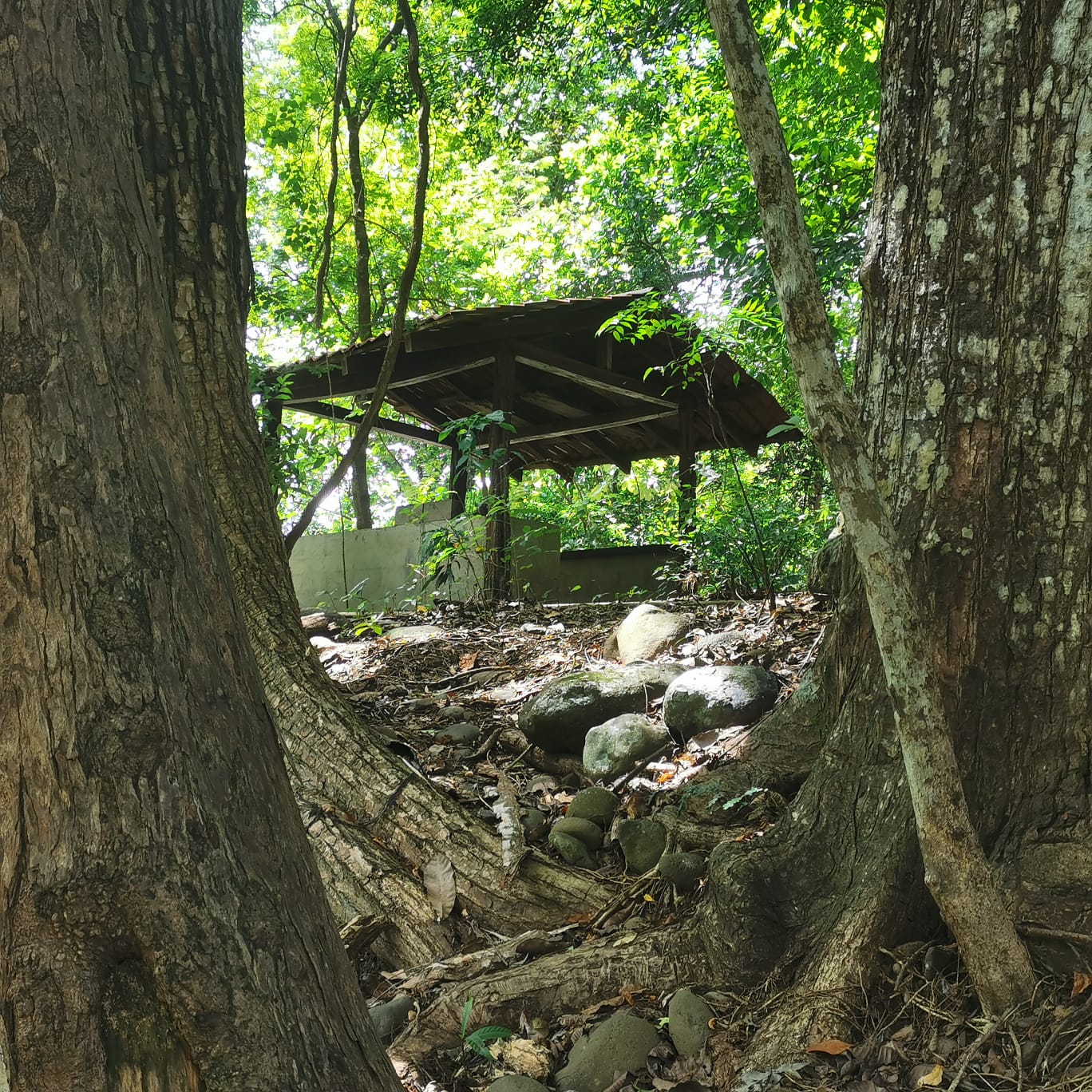 450-Hectare Estate w/ Nature Reserve, Three Homes & Rivers in Guanacaste photo 46