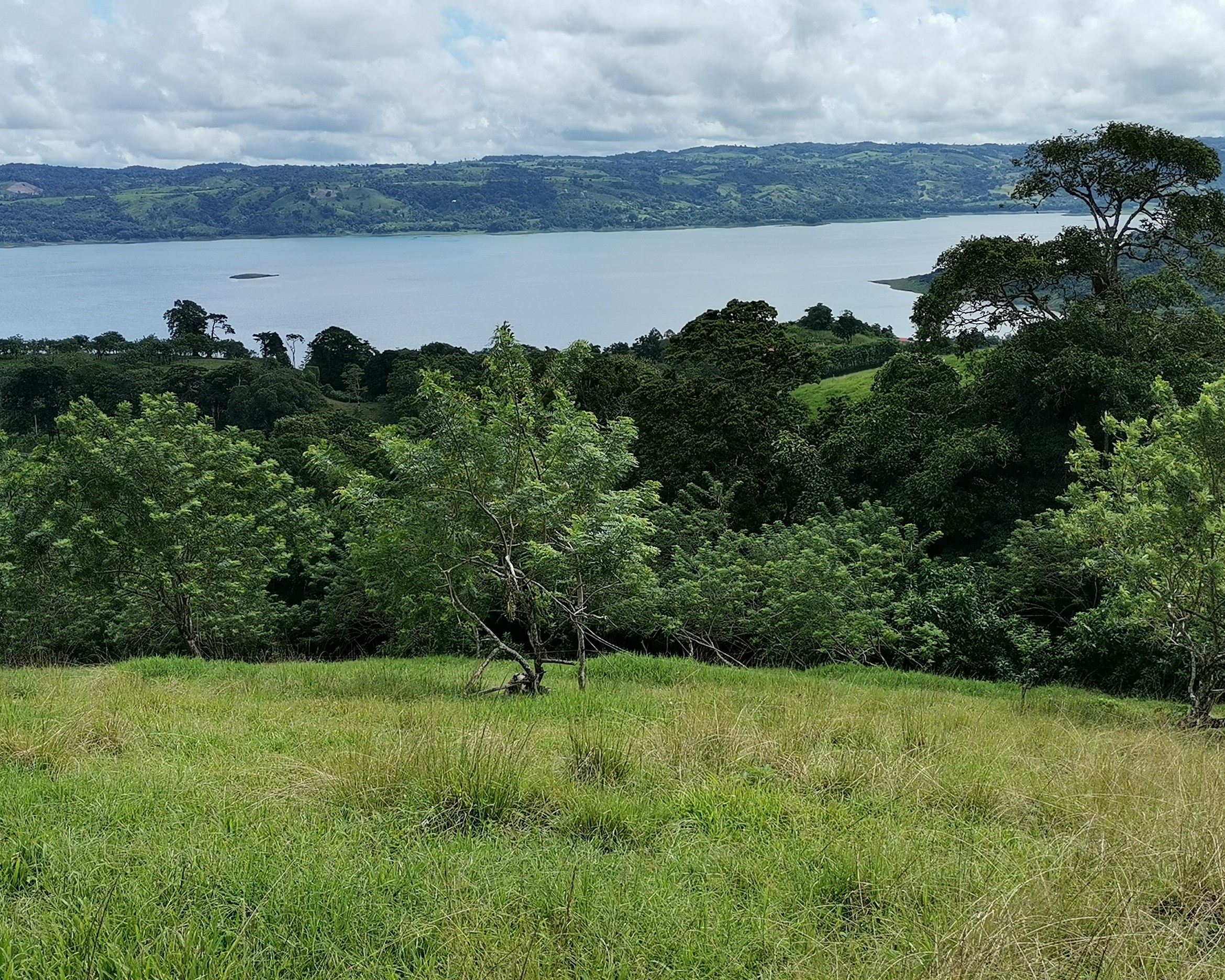 Magnificent 24,811m2 Lake and Volcano View Parcel with Huge Views in Tronadora photo 27