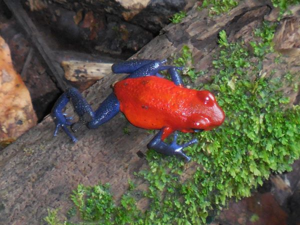 168 acres (68 hectares) of natural peace and tranquility with four cabins photo 25