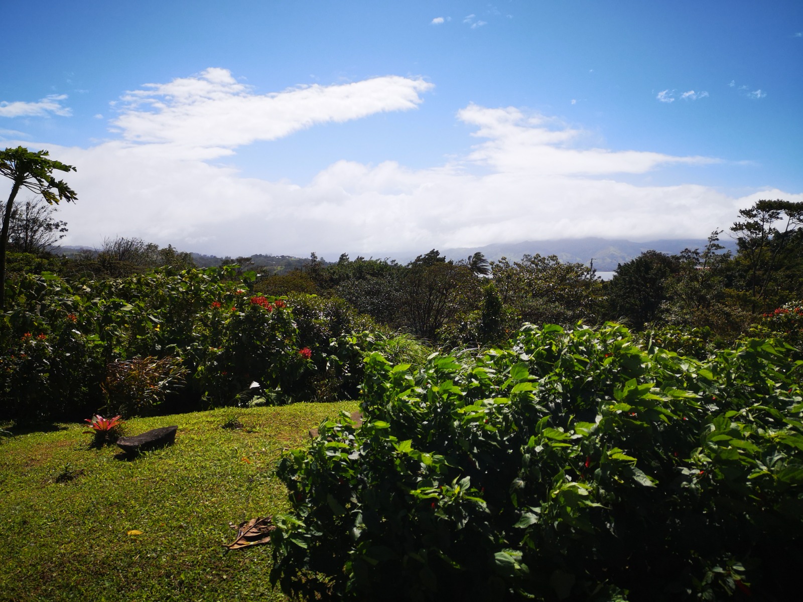 Beautiful, 2 Story, 3BD, 1BA A-Frame Home with Lake and Volcano Views- Nuevo Arenal photo 25