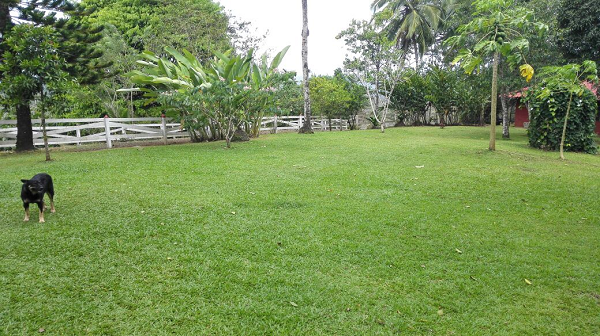 Beautiful 5 Bedroom 3 Bathroom Home Estate on 66 acres In Guatuso photo 24