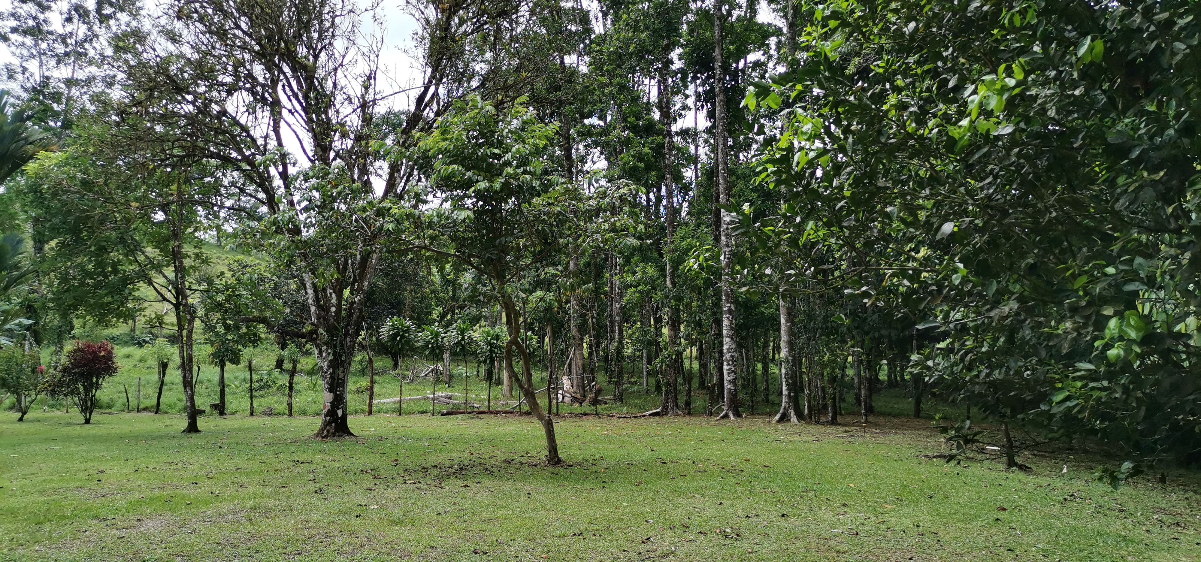 Fully Furnished 2 Bedroom 2 Bathroom Home On Cote River  photo 41