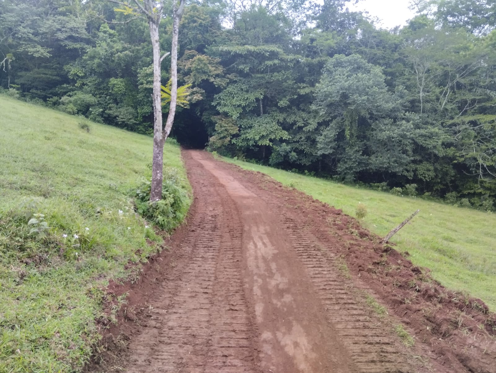 Gorgeous 50,372 m2 (12,4 acre) Farm In Cabanga, Guatuso photo 22