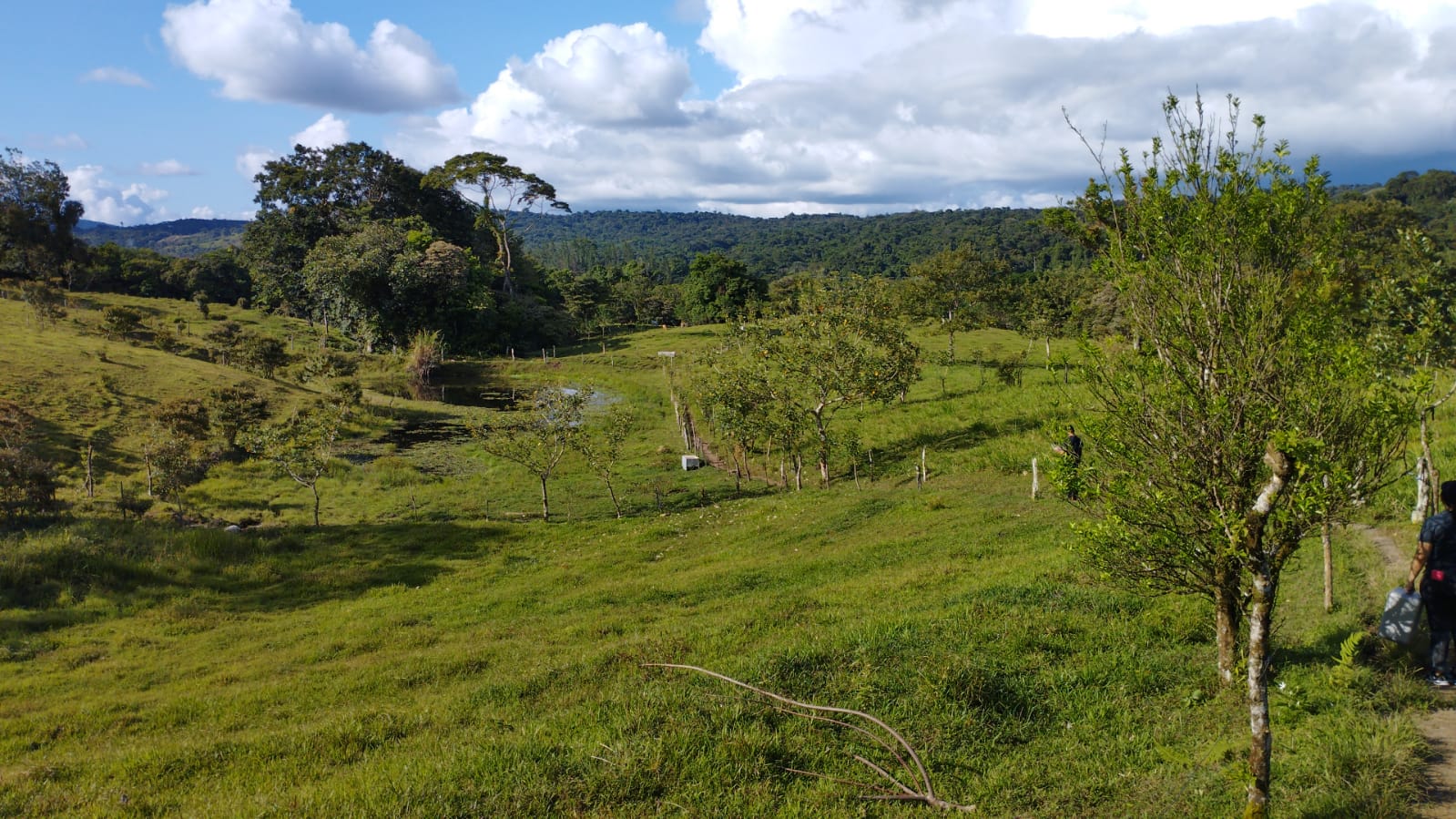 16-Hectare Farm with a Private Well and Views of Lake Arenal in Nuevo Arenal photo 44