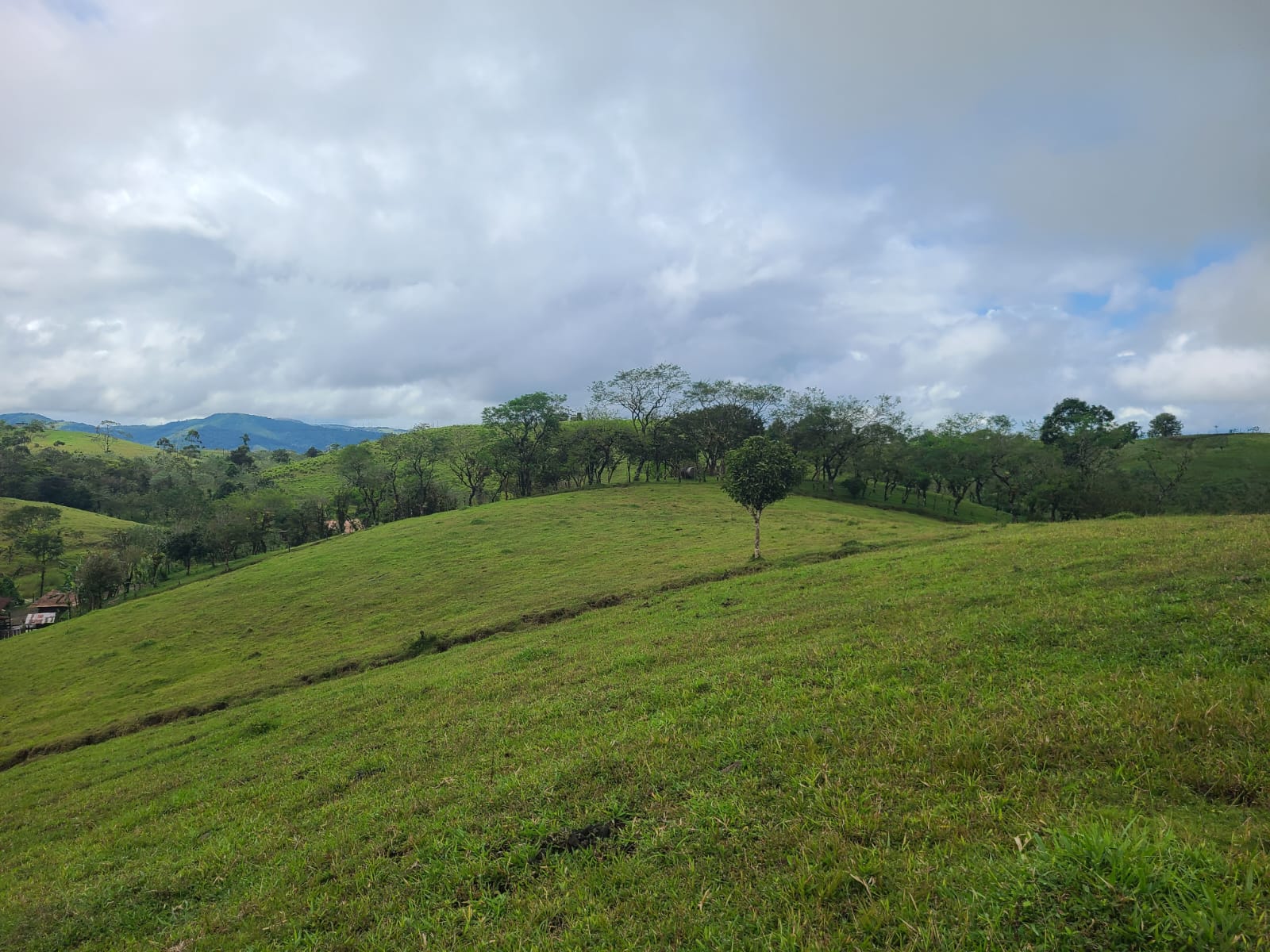 Spectacular 105-Hectare Lot with Lakes, Mountain Views, & Natural Resources  photo 11