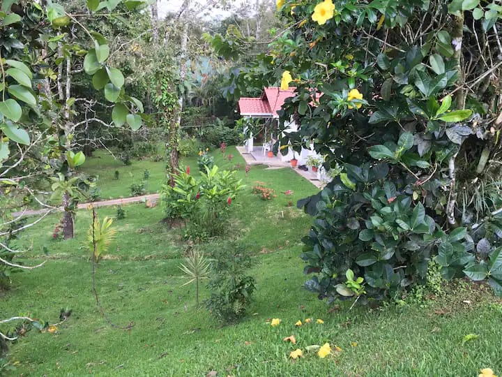 Two Casitas in Gated Community with Swimming Pool and Private Marina photo 14