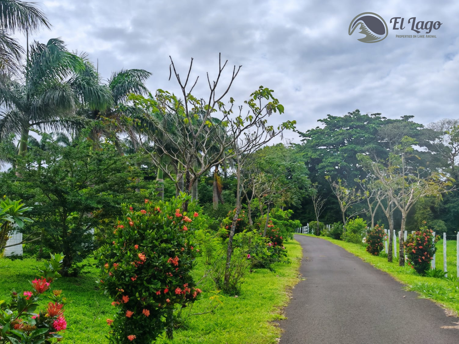 Luxury Estate w/ 8 BD, 9 BA, Private Forest, and Development Potential photo 106