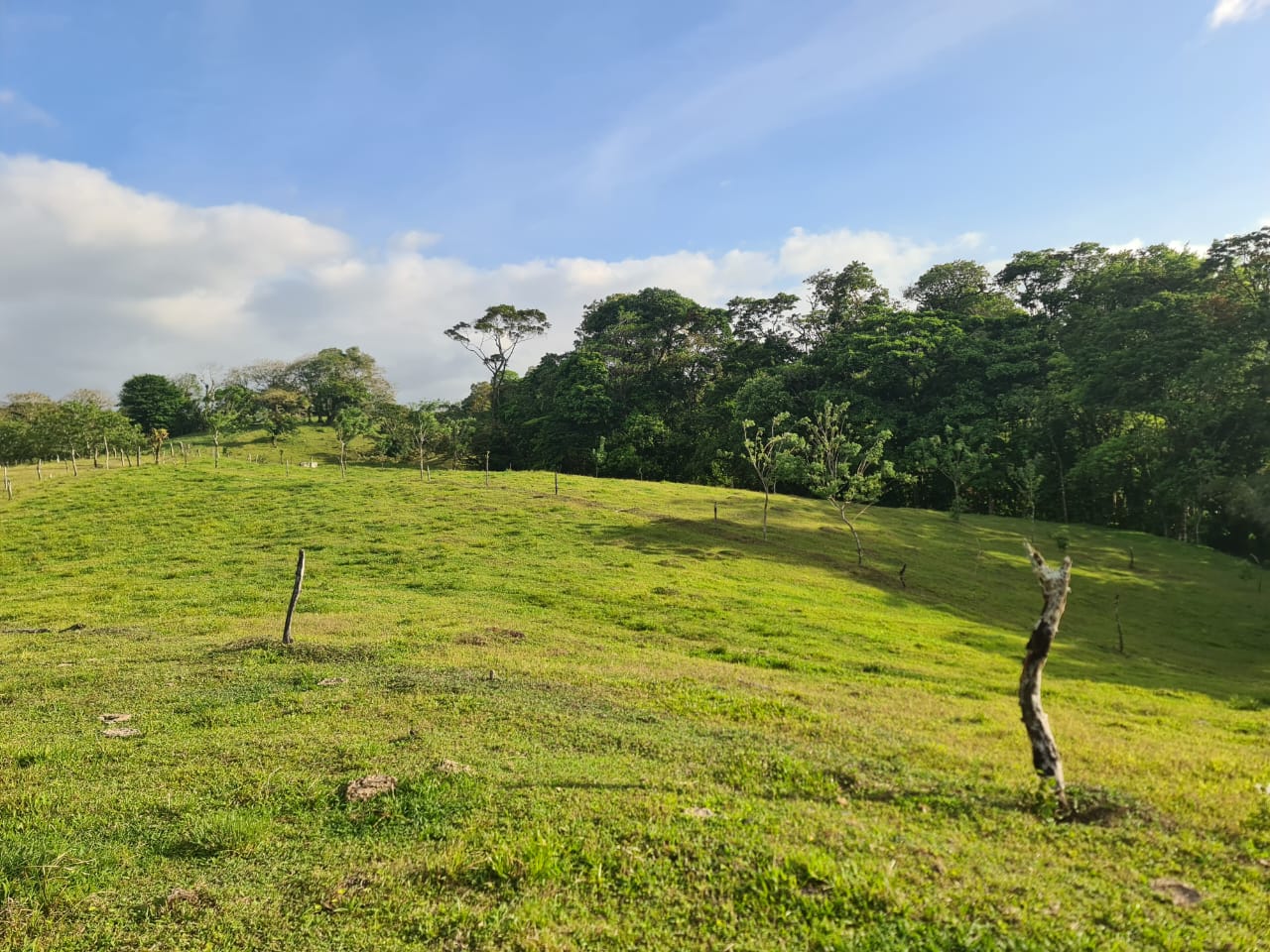 16-Hectare Farm with a Private Well and Views of Lake Arenal in Nuevo Arenal photo 13