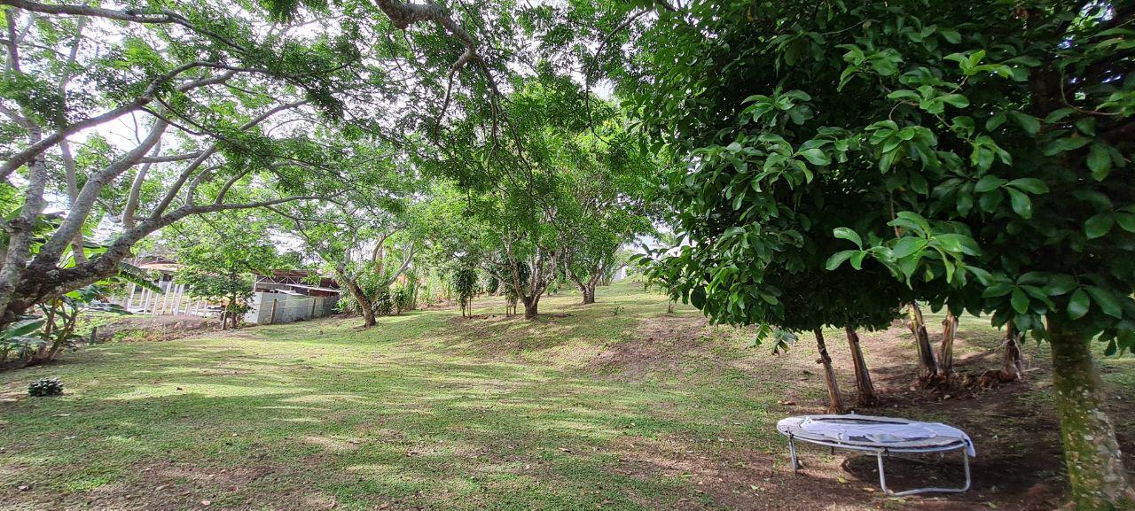 Lakeview Home 4BD 2BAw/ Lake Access, Development Potential & BMW  photo 27