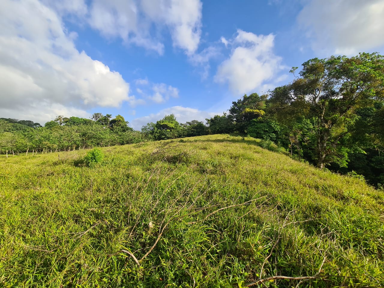 16-Hectare Farm with a Private Well and Views of Lake Arenal in Nuevo Arenal photo 22