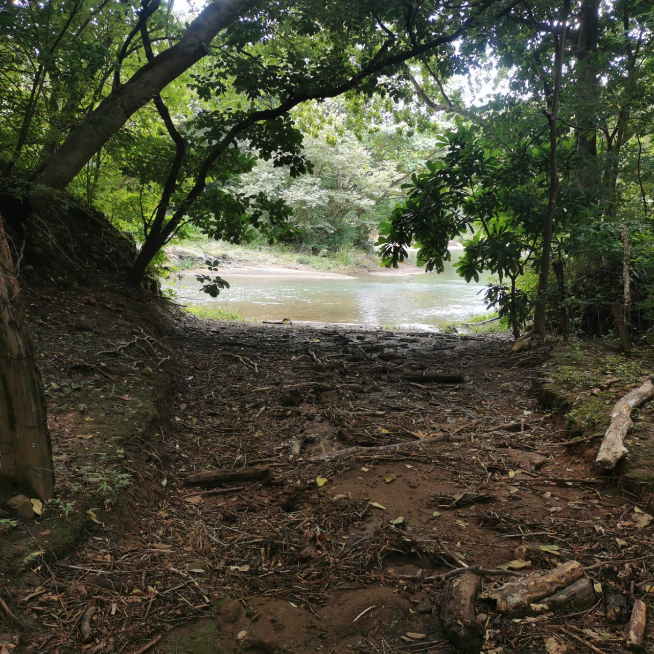 450-Hectare Estate w/ Nature Reserve, Three Homes & Rivers in Guanacaste photo 55