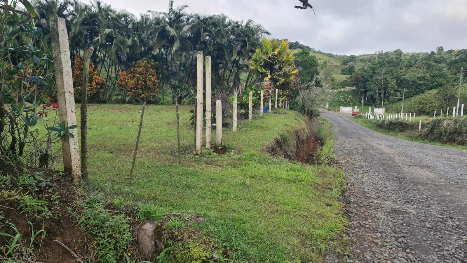 Lovely, 2625 M2 (0.64 acres) Lot in Mata de Caña, Nuevo Arenal photo 10