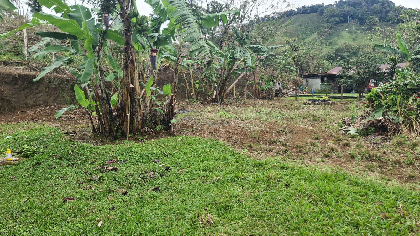 Cozy 1 Bedroom, 1 Bathroom house on a 1,110 m2 lot in Nuevo Arenal photo 11