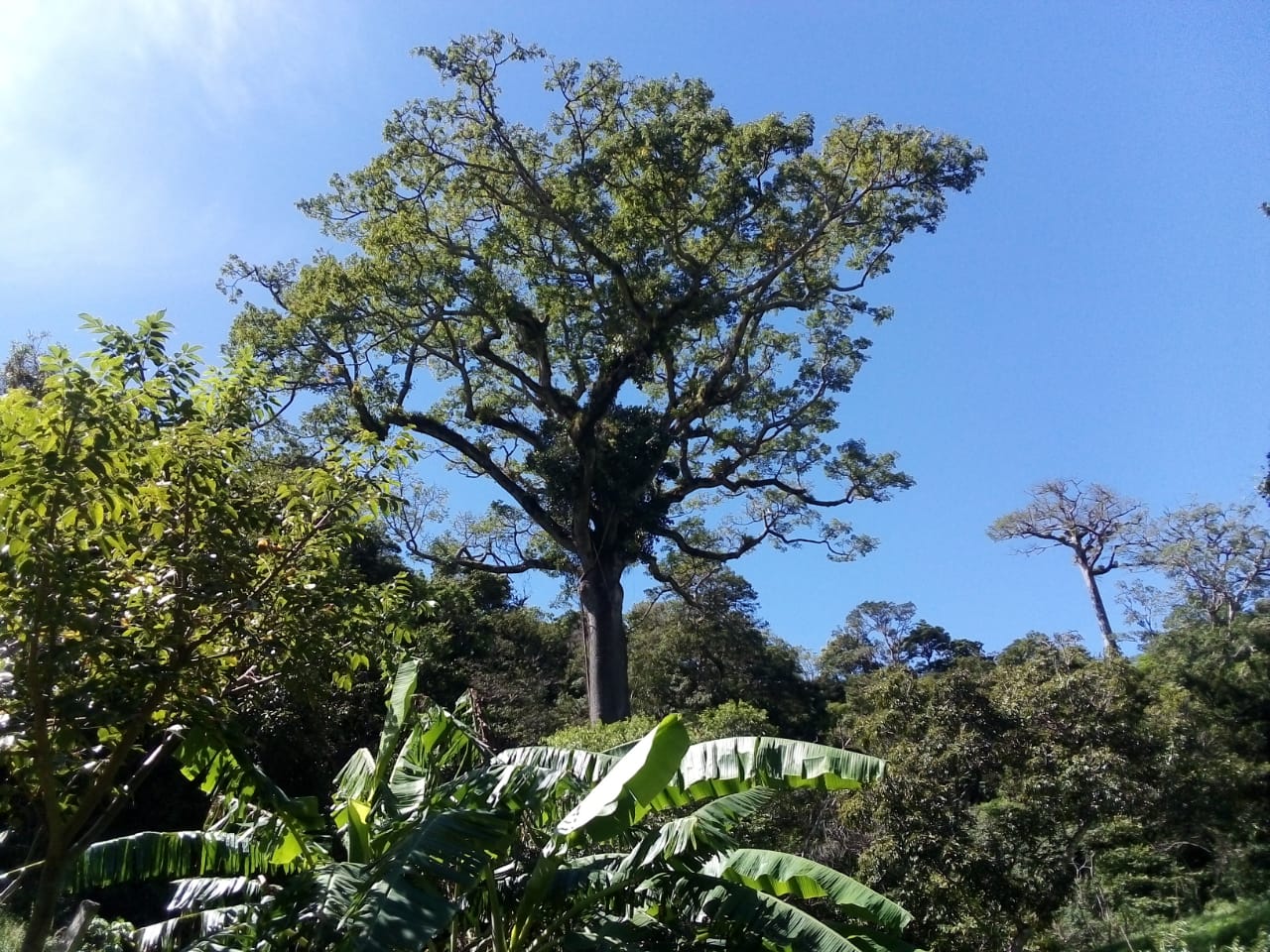 Lot of 15.320 m2 (3.78 Acre) with a private well in Parcelas de Quebrada Azul  photo 6