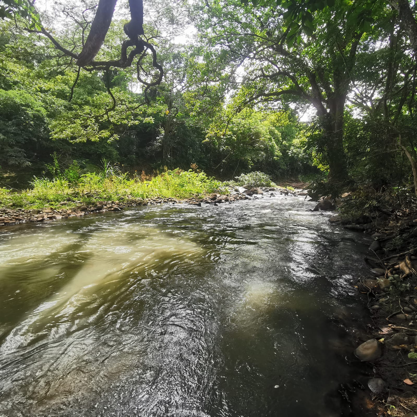 450-Hectare Estate w/ Nature Reserve, Three Homes & Rivers in Guanacaste photo 70