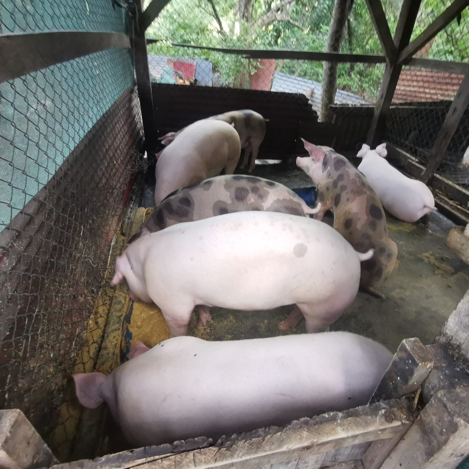 450-Hectare Estate w/ Nature Reserve, Three Homes & Rivers in Guanacaste photo 45