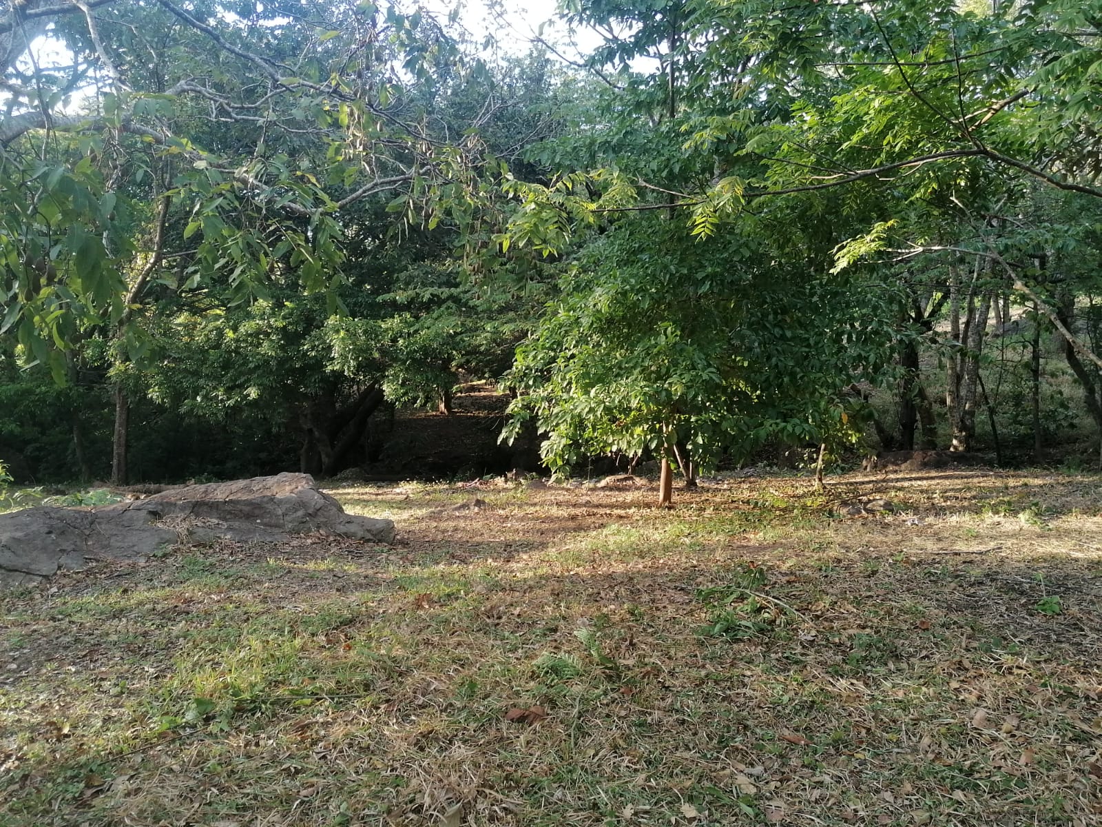 Nature Lover: 5,121 m2 Lot with Mountain Views and Lush Fruit Orchard photo 13