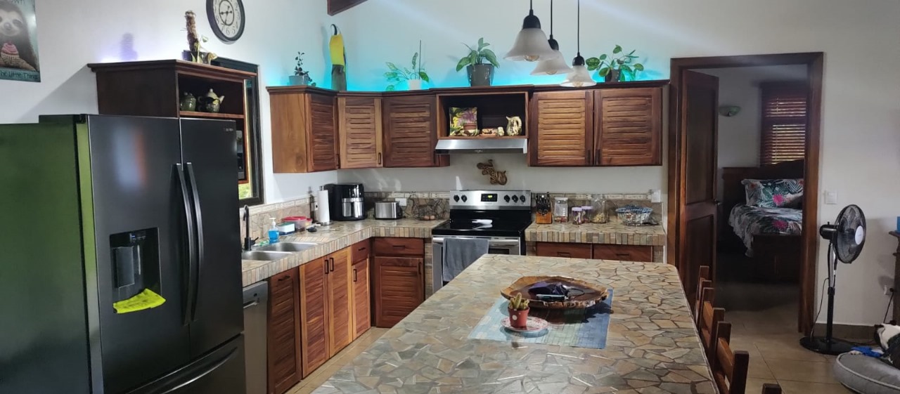 Stunning 2-bedroom, 2-bathroom home with Pool and Lake Arenal Views photo 11