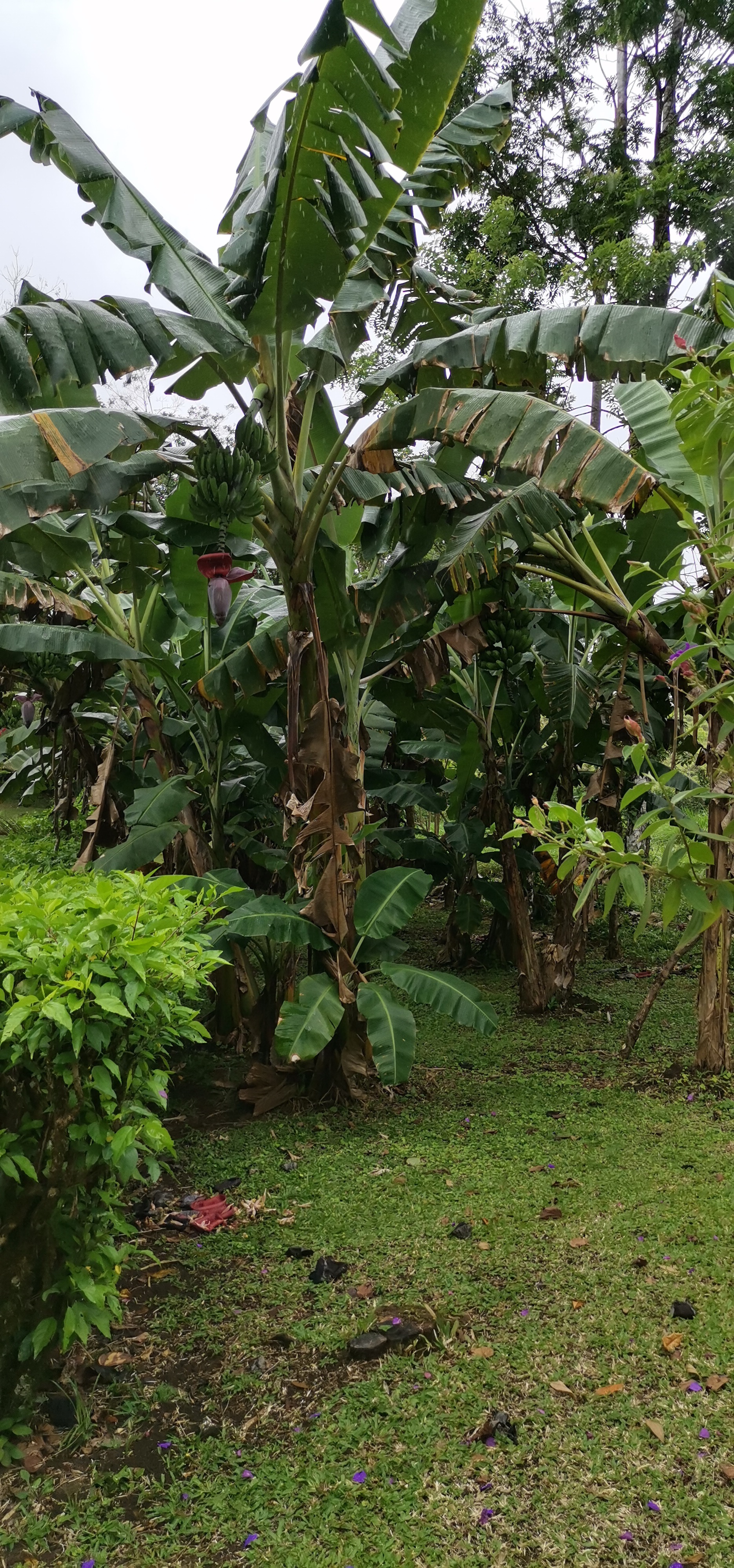 Fully Furnished 2 Bedroom 2 Bathroom Home On Cote River  photo 24