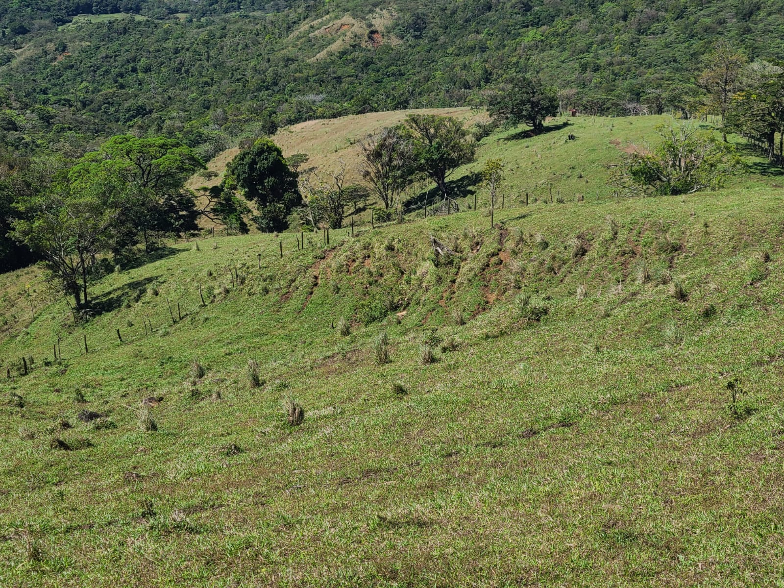 Spectacular 41,700 Sqm Property with Breathtaking Views in Río Piedras photo 10