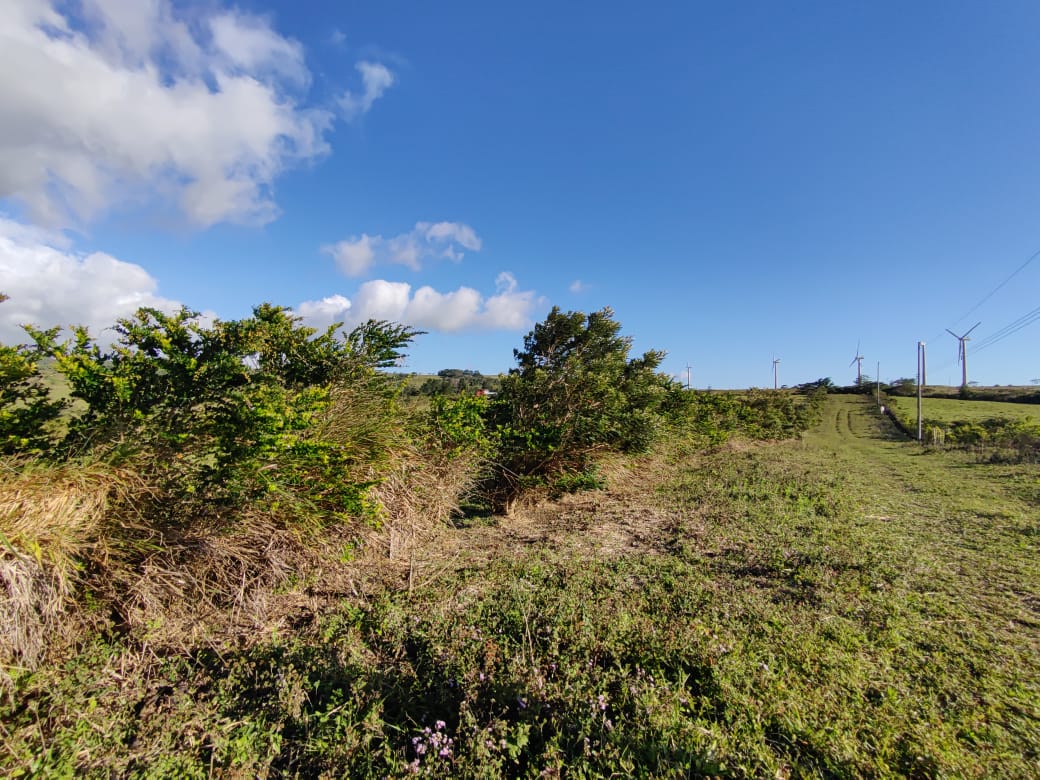 Beautiful, 6194 M2 (1.53 acres) Building Lot In Tierras Morenas Tilarán photo 9