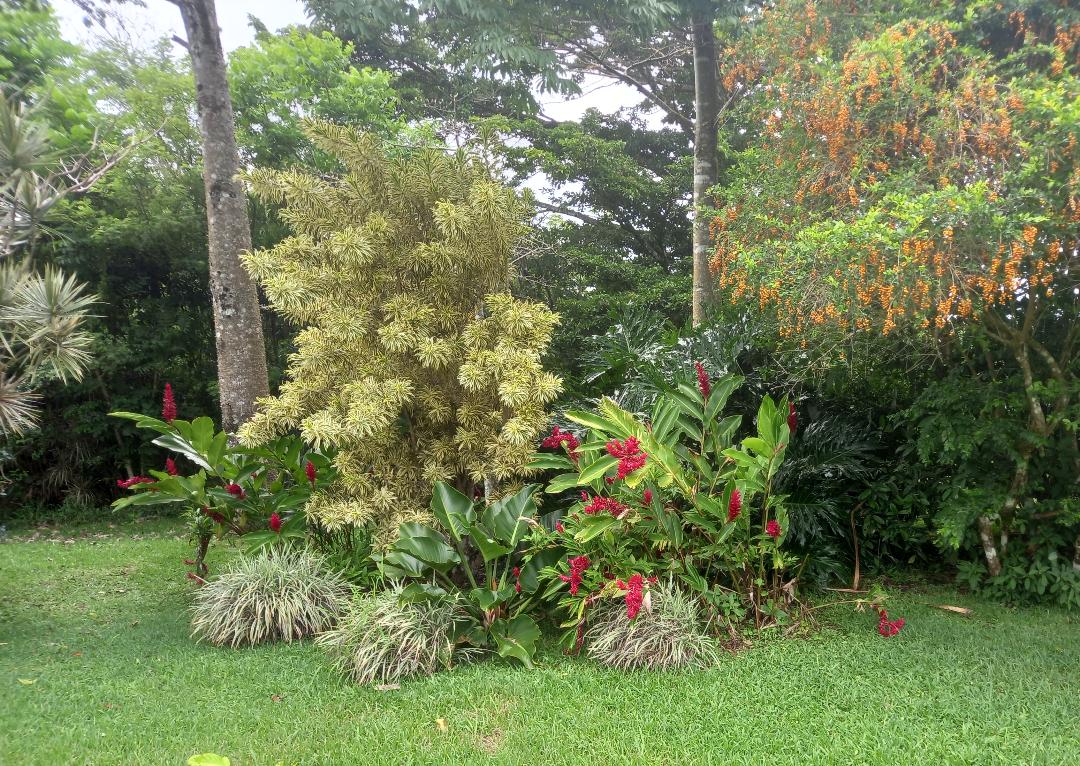 Tranquility Defined – Stunning Home with Lake & Volcano Views on 8.2 Acres photo 47