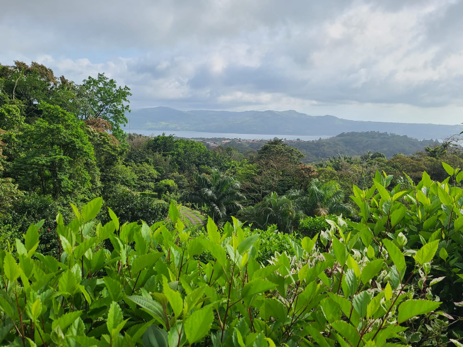 Lake View Home 2BD 2BA + Office + Gym in San Antonio, Nuevo Arenal photo 30