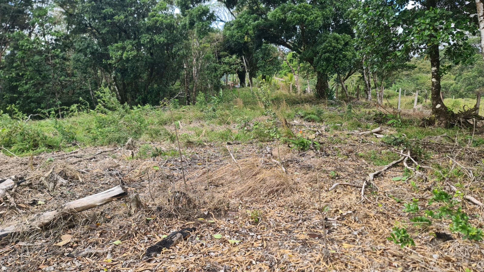 Gorgeous, 14053.22 M2, Lake View Property in El Aguacate, Tilarán photo 10