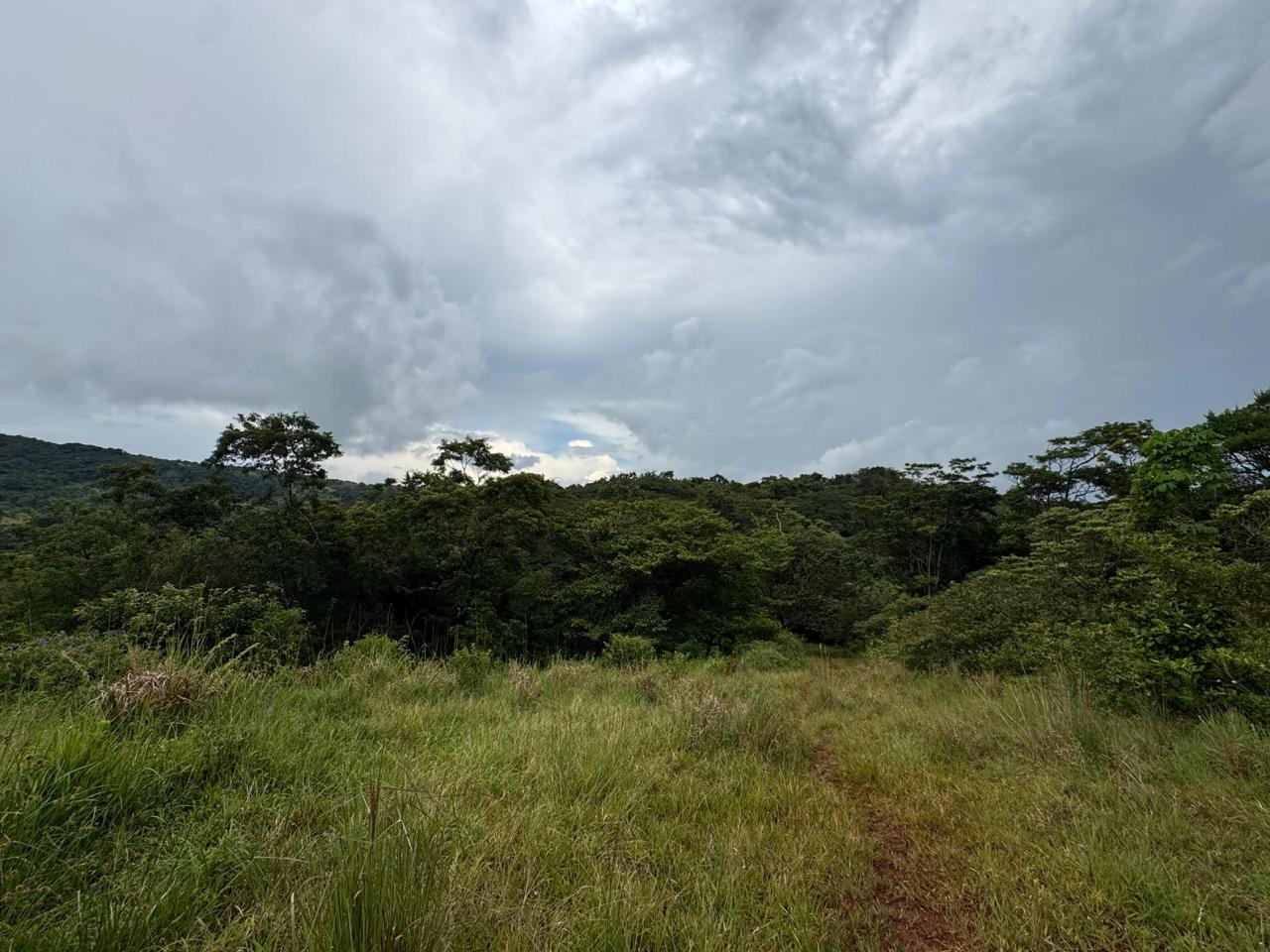 Expansive Lake-Access Property in Turtle Cove, El Aguacate photo 10