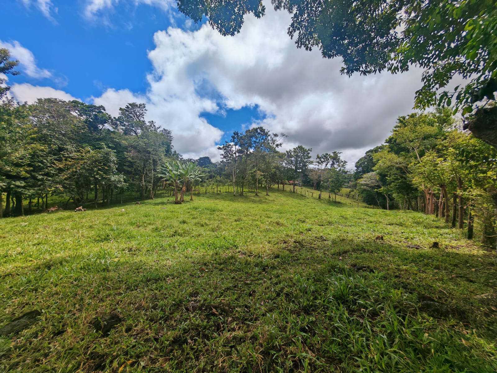 Expansive 30,229 m² (7.46 Acre) Lot w/ House & Scenic Views in Tierras Morenas photo 10