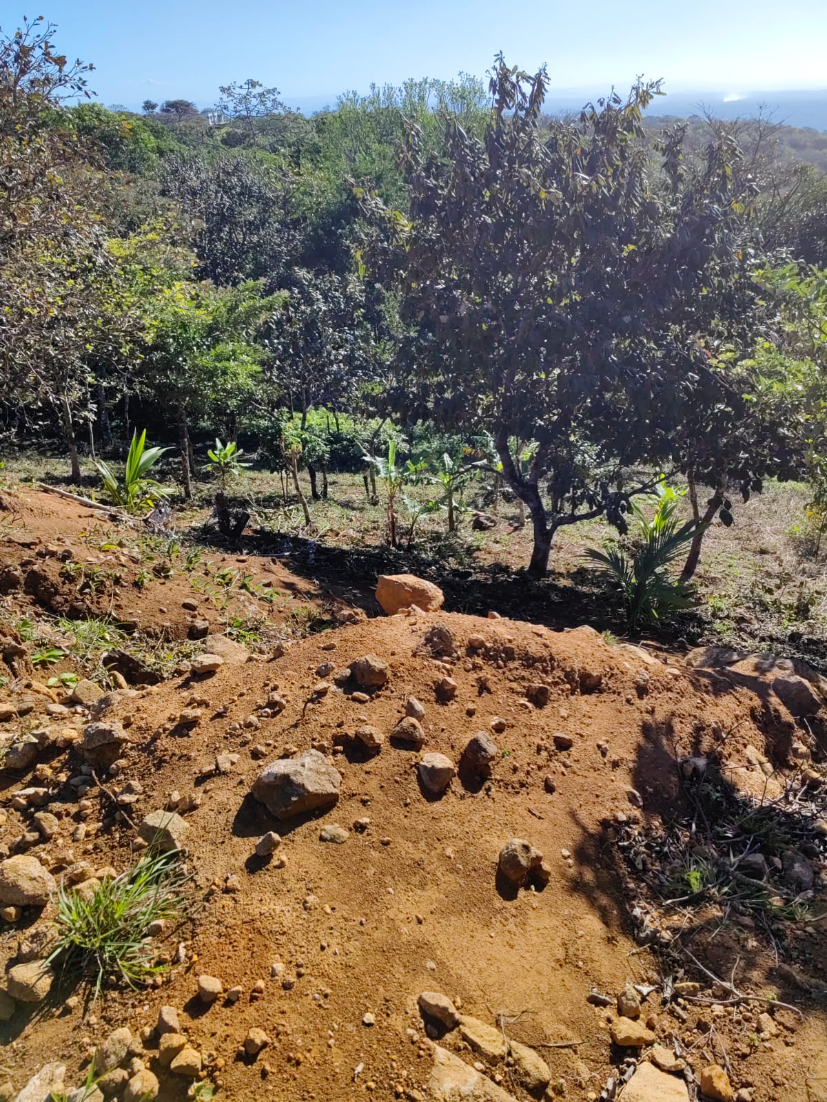 2500 m2 Ready to build / Beautiful Views & Commercial Potential-Nueva Guatemala photo 12