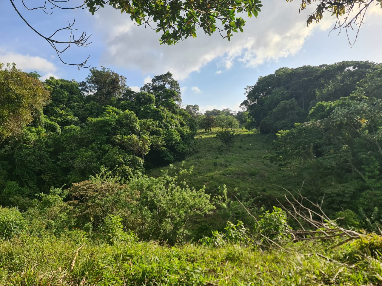 16-Hectare Farm with a Private Well and Views of Lake Arenal in Nuevo Arenal photo 30