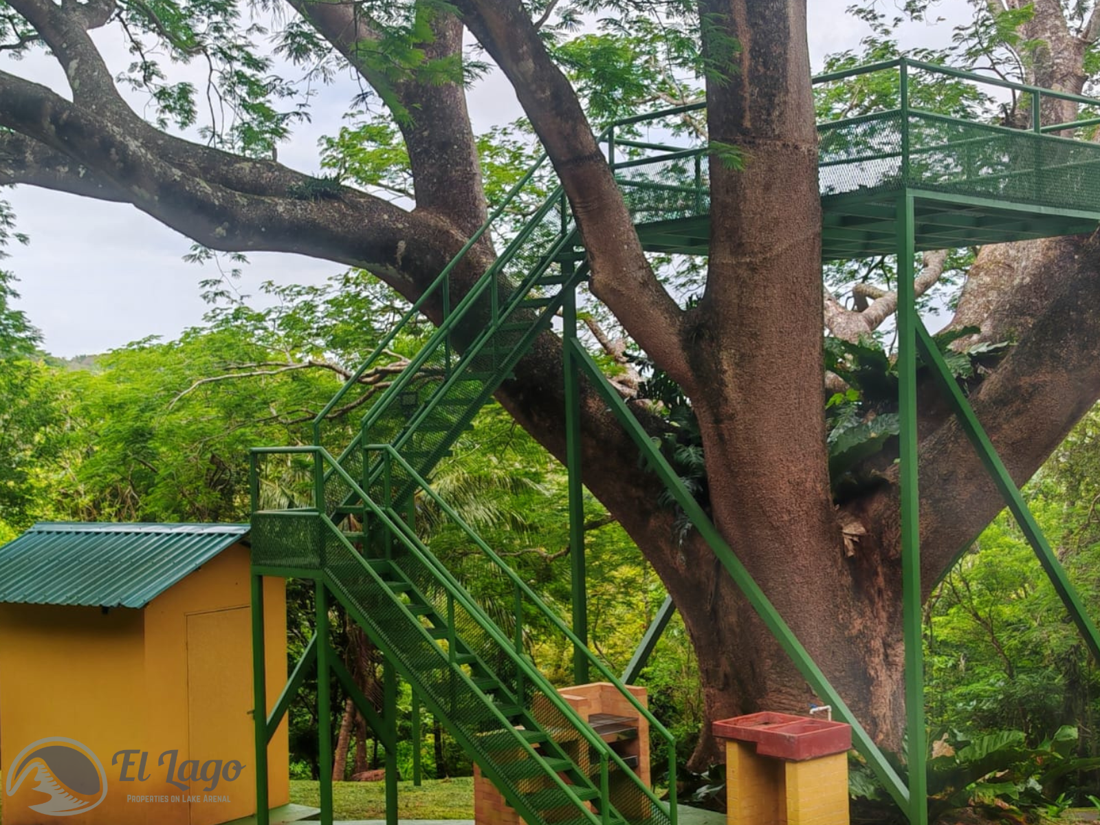 Luxury Estate w/ 8 BD, 9 BA, Private Forest, and Development Potential photo 84