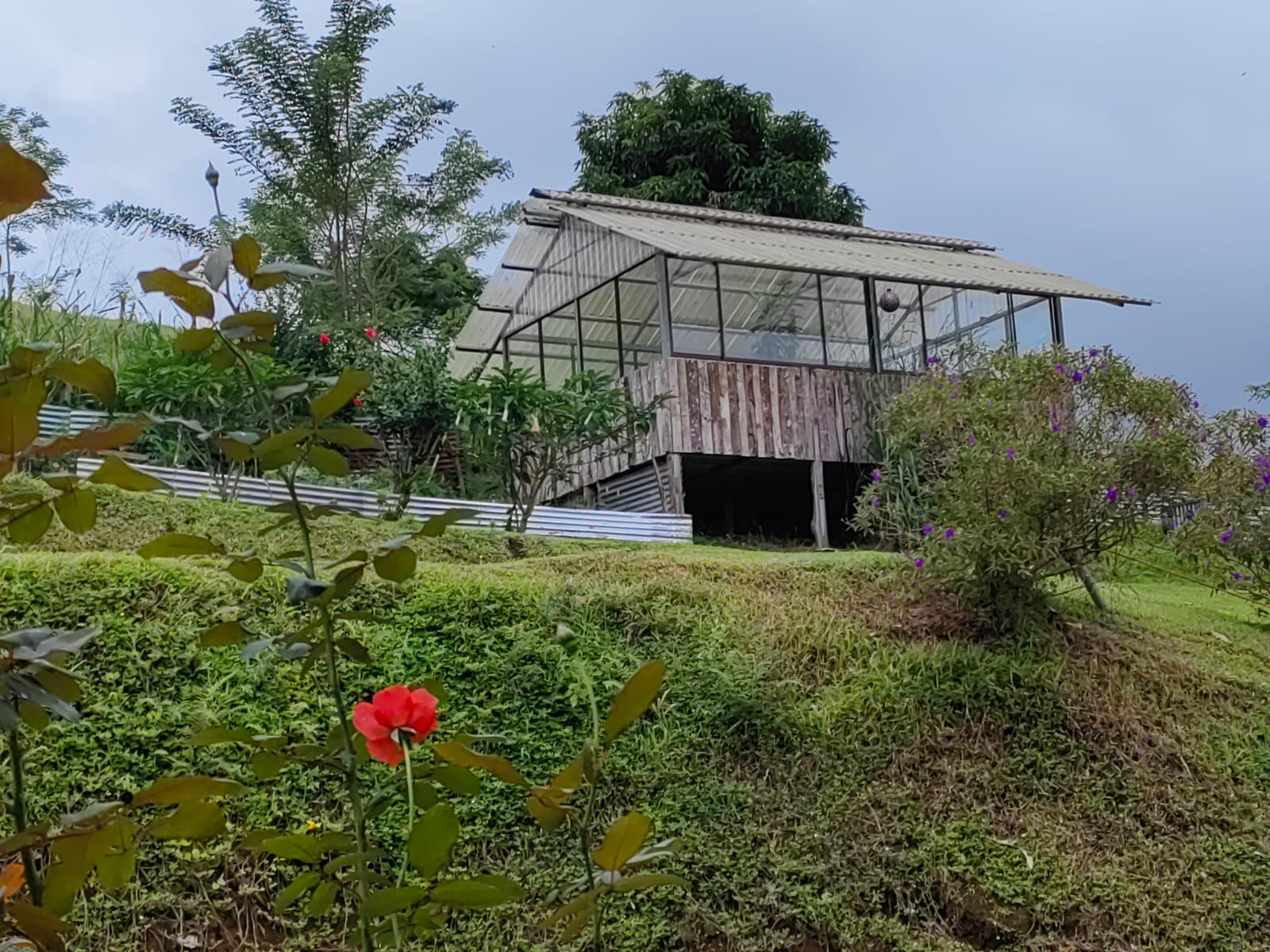 Sprawling, 2 BD/2 BA Home+Office+Apt+Stables+Green House in Tronadora photo 39