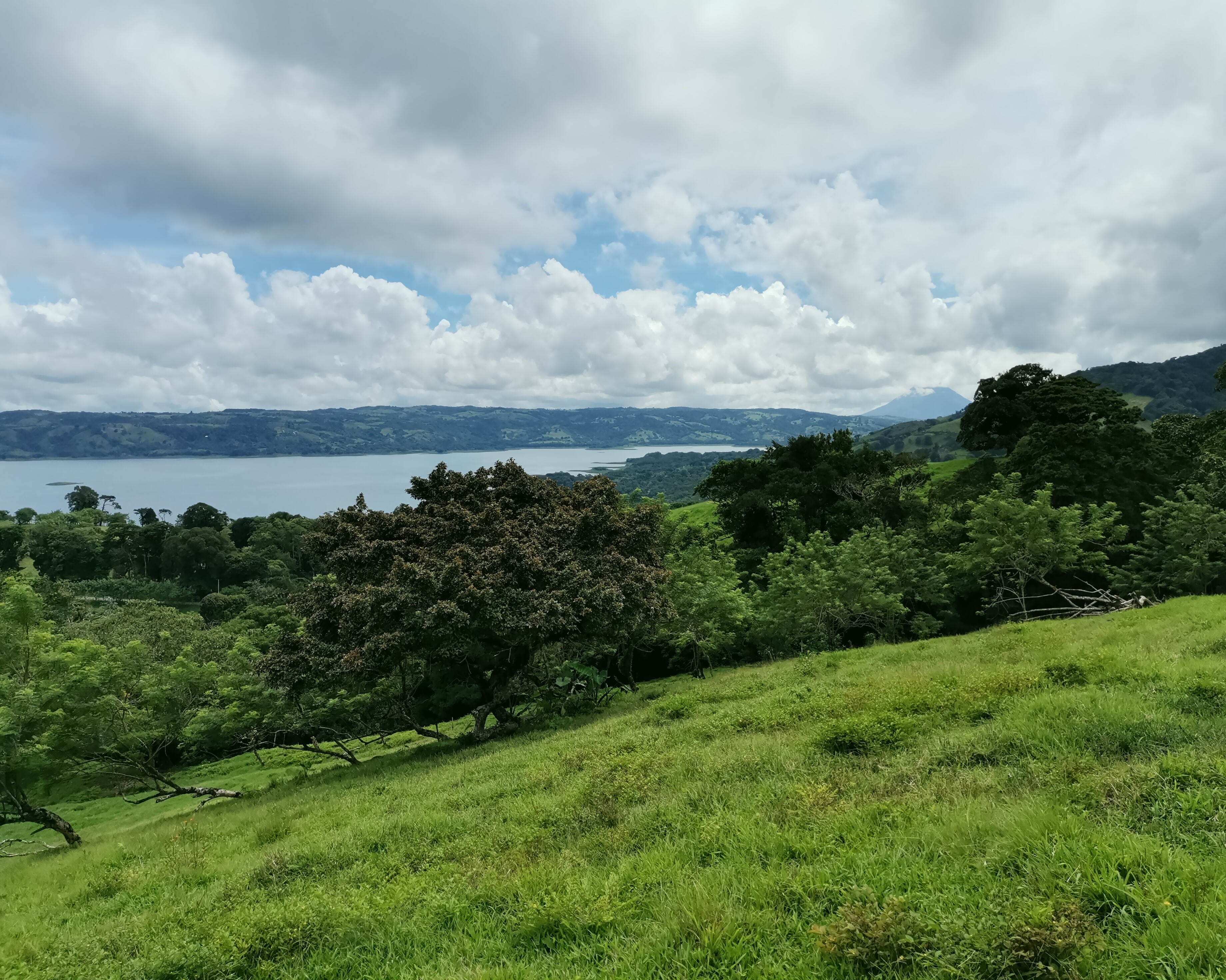 Magnificent 24,811m2 Lake and Volcano View Parcel with Huge Views in Tronadora photo 8