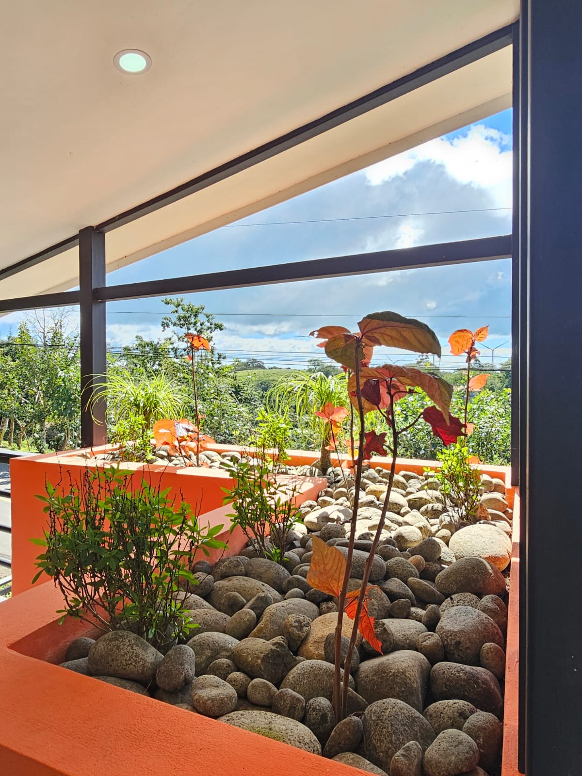 Modern Home 2BD 1BA with Beautiful Mountain Views in Parcelas photo 28