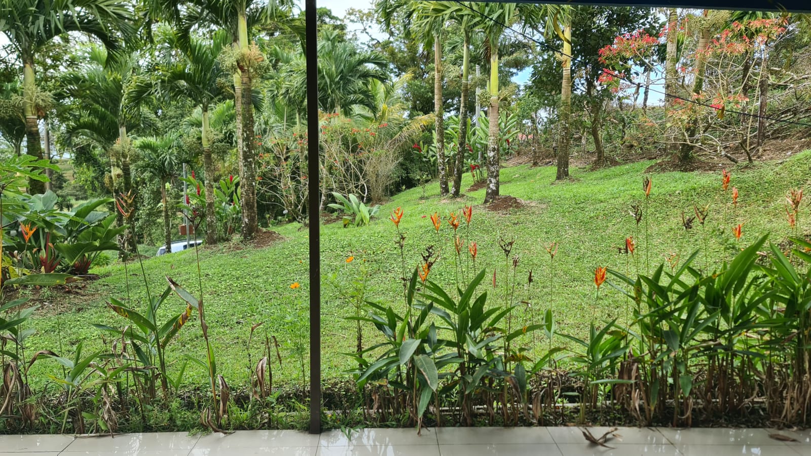 Cozy 1 Bedroom, 1 Bathroom house on a 1,110 m2 lot in Nuevo Arenal photo 12
