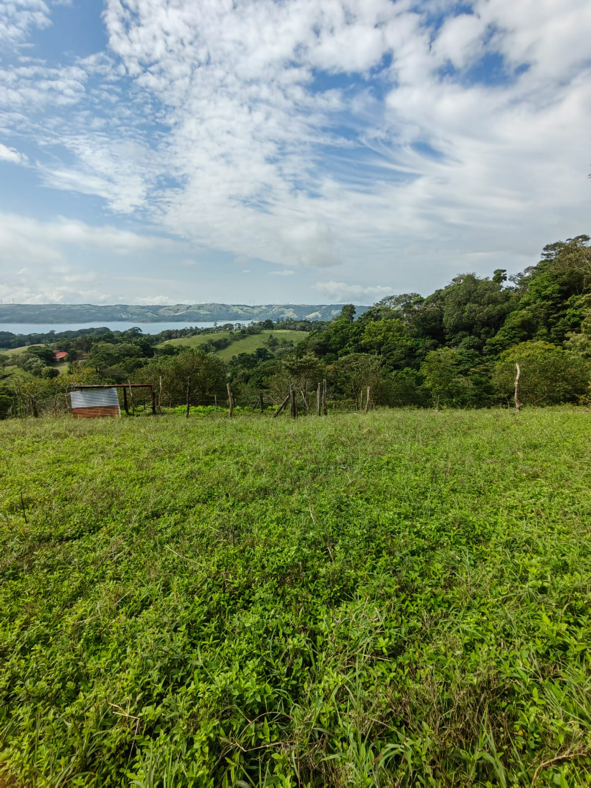 Beautiful lot of 7,031 m2 (1.73 Acre) w/ Lake, Volcano, and Mountain Views photo 6