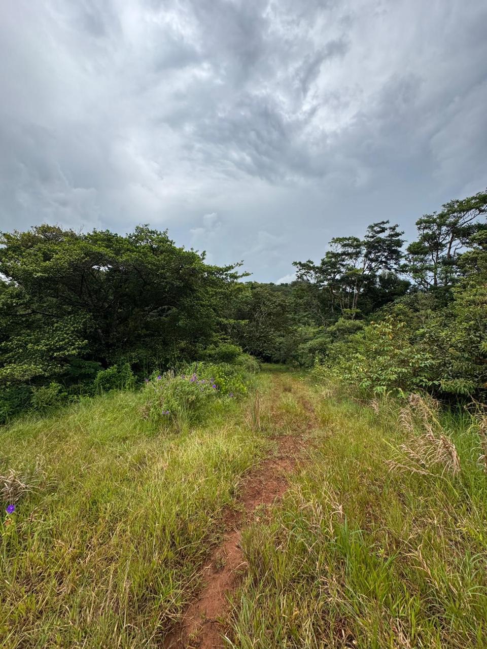 Expansive Lake-Access Property in Turtle Cove, El Aguacate photo 9