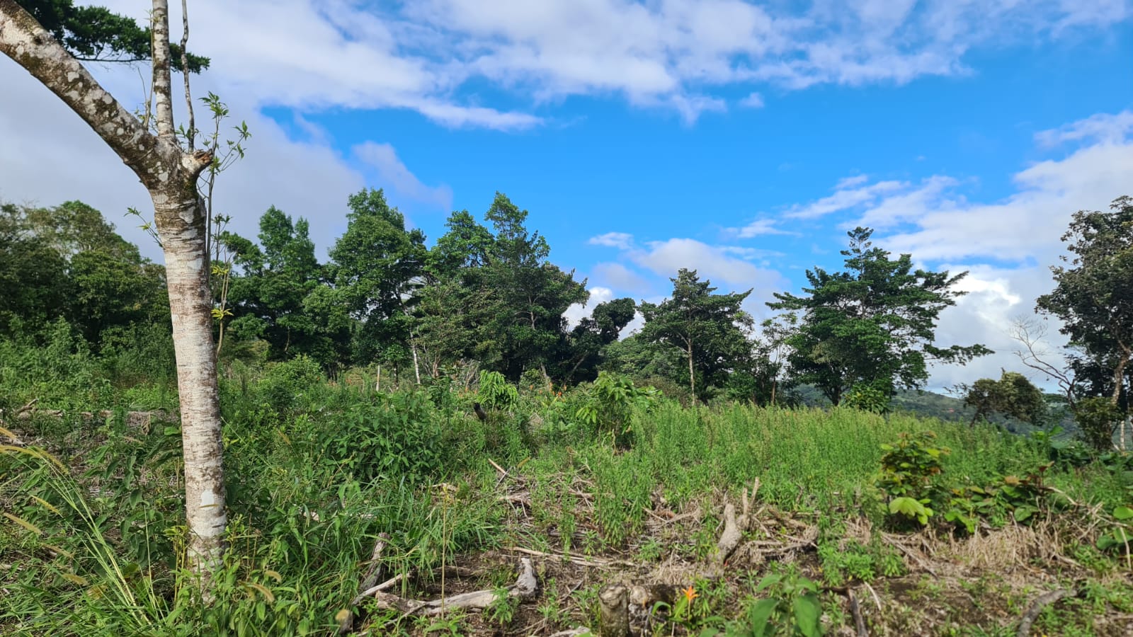 Gorgeous, 14053.22 M2, Lake View Property in El Aguacate, Tilarán photo 7