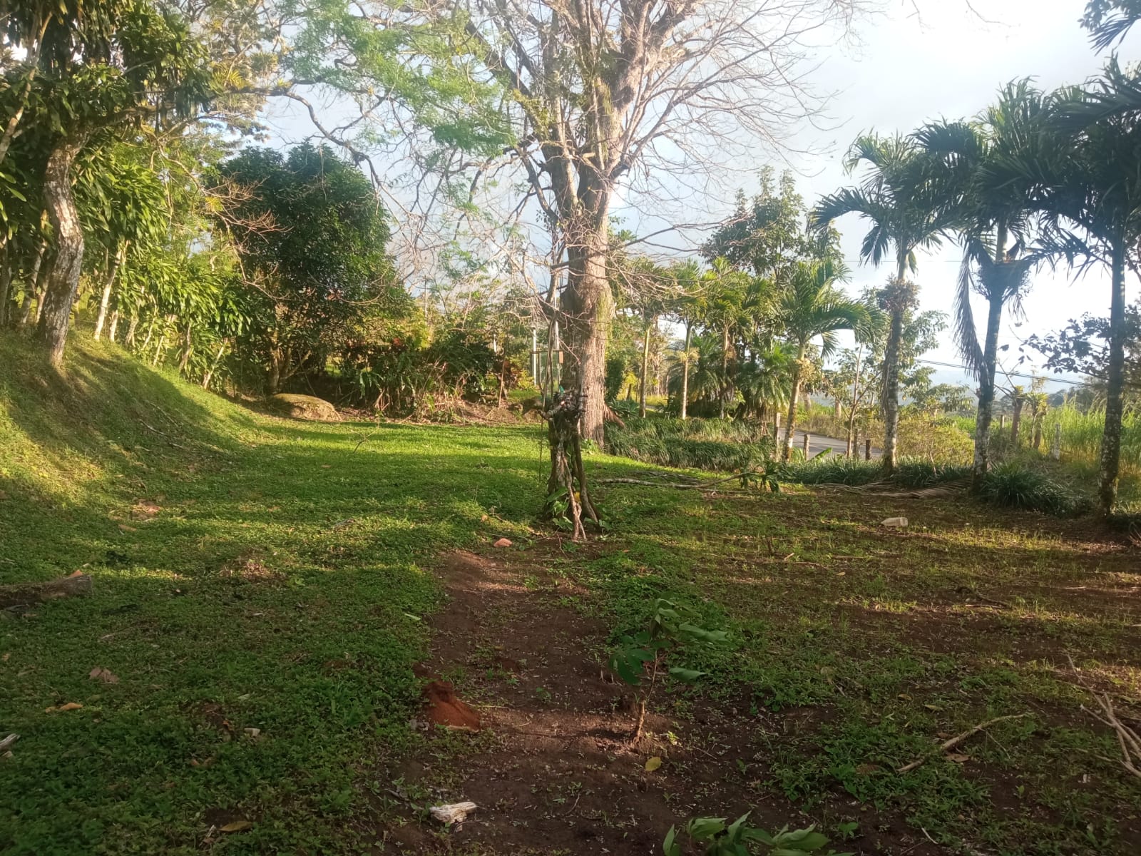 Beautiful, 1407 m2 (0,34 acres) Lot in Parcelas de Quebrada Azul, Tilarán photo 6