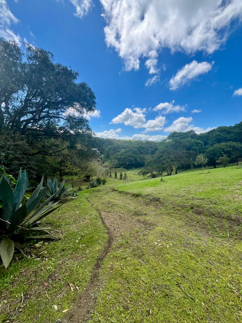 Commercial Property with Expansive Space and Breathtaking Mountain Views  photo 7