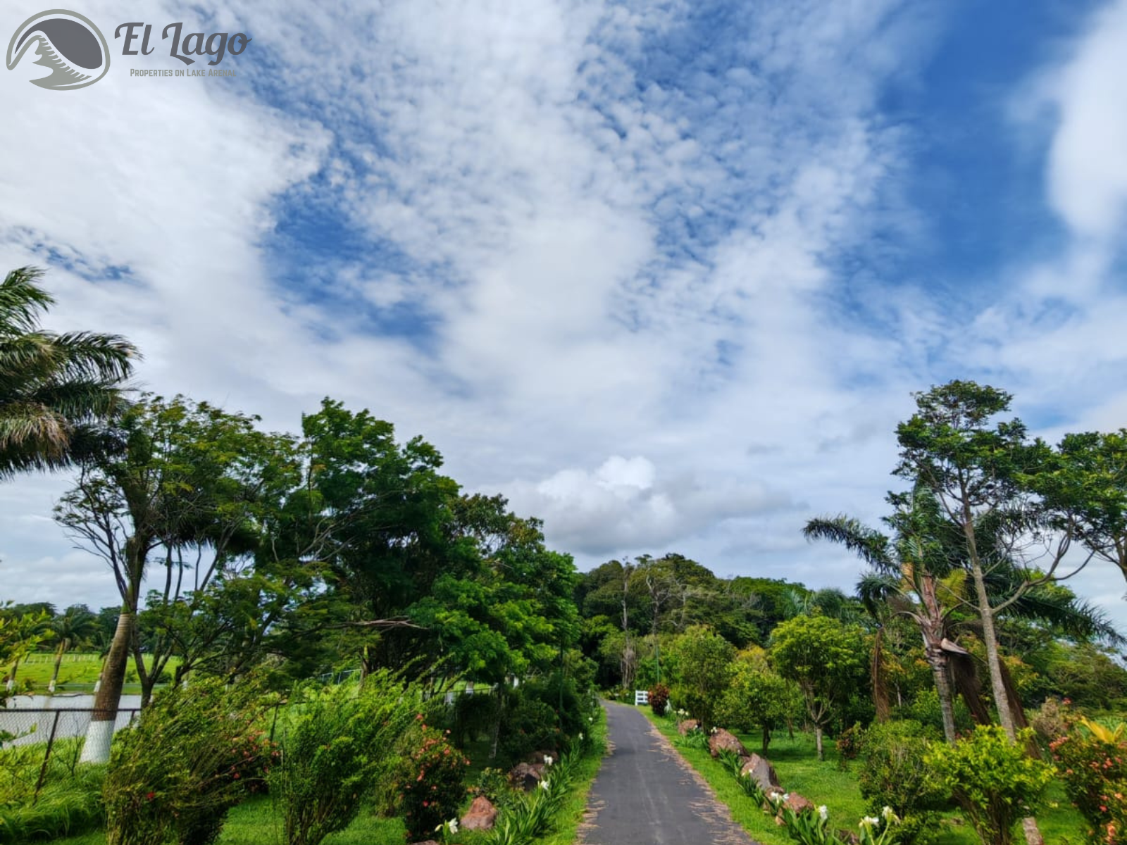 Luxury Estate w/ 8 BD, 9 BA, Private Forest, and Development Potential photo 82