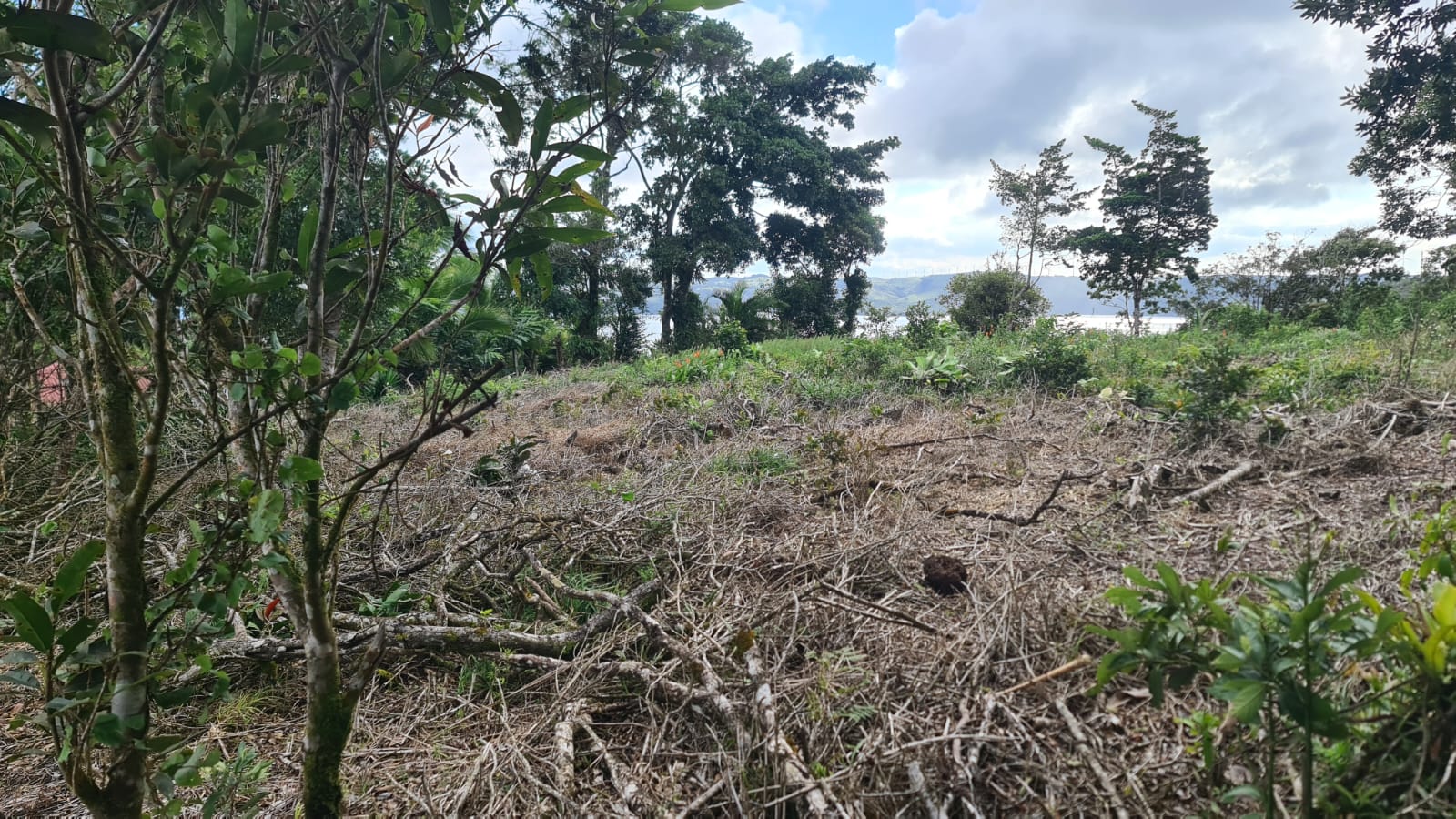 Gorgeous, 14053.22 M2, Lake View Property in El Aguacate, Tilarán photo 8