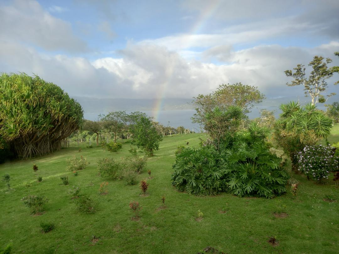 Tranquility Defined – Stunning Home with Lake & Volcano Views on 8.2 Acres photo 36