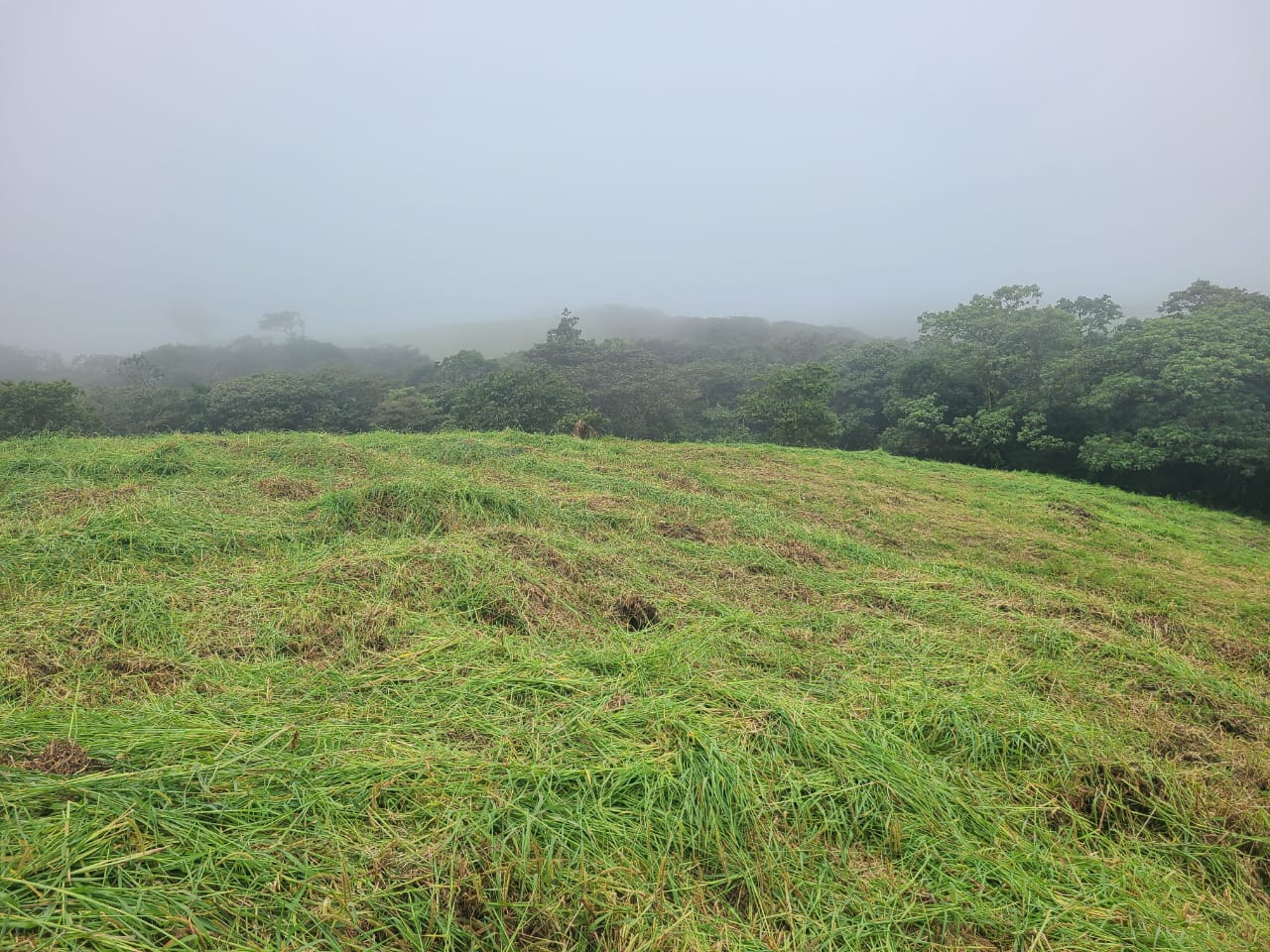 Stunning 12.59-Acre Lot with Volcano Views in Nuevo Arenal  photo 9