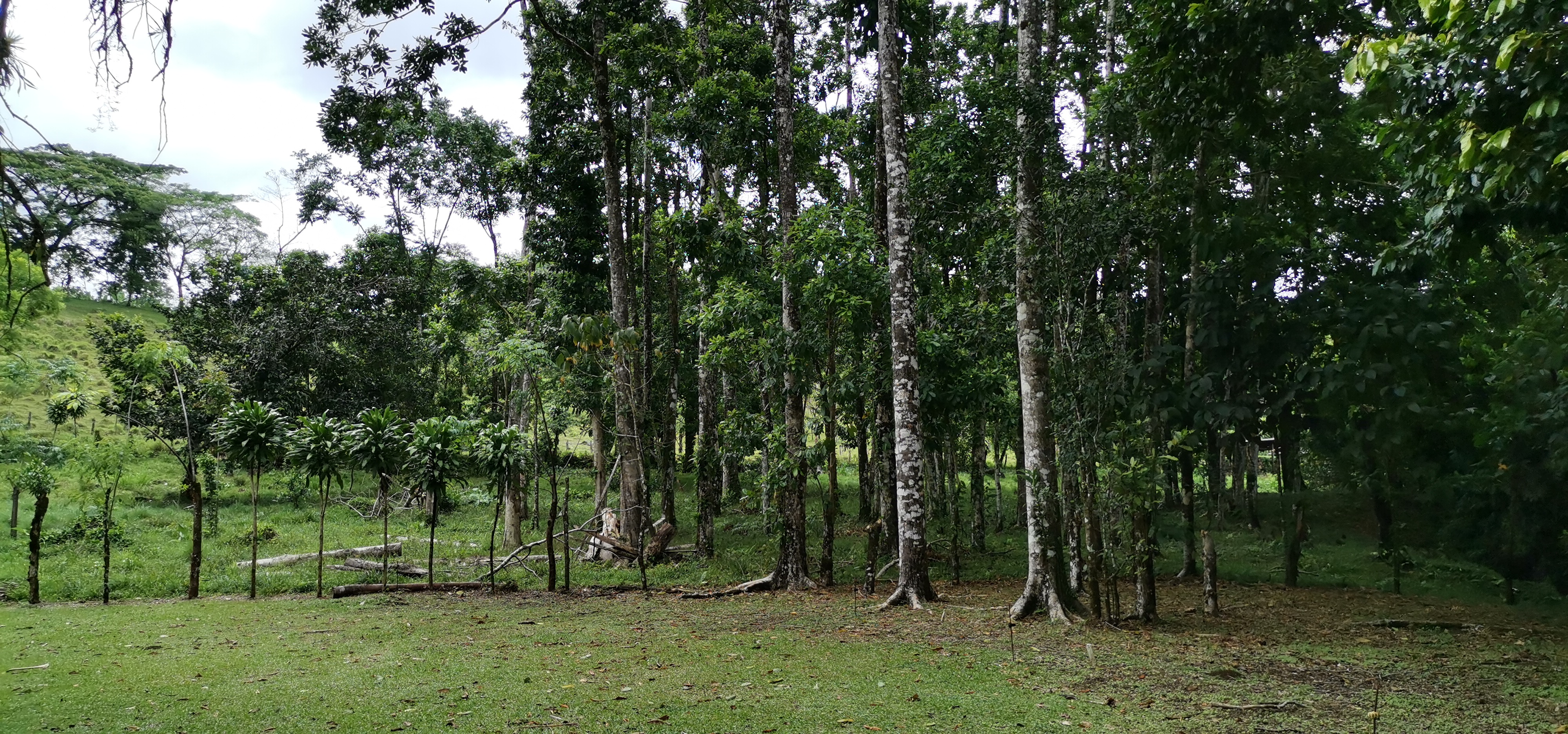 Fully Furnished 2 Bedroom 2 Bathroom Home On Cote River  photo 37