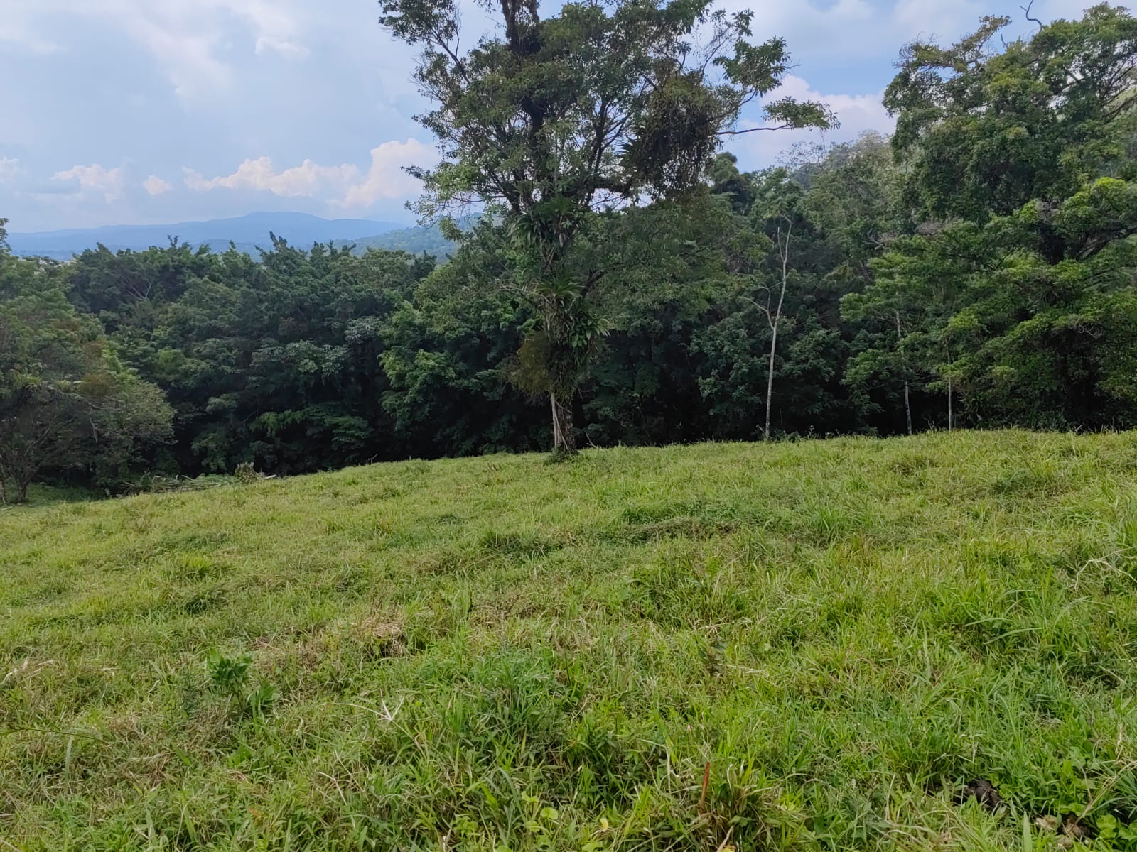 Finca La Tortuga – A Developer’s Dream! Lake Arenal View 5.7 Hectare Farm photo 11