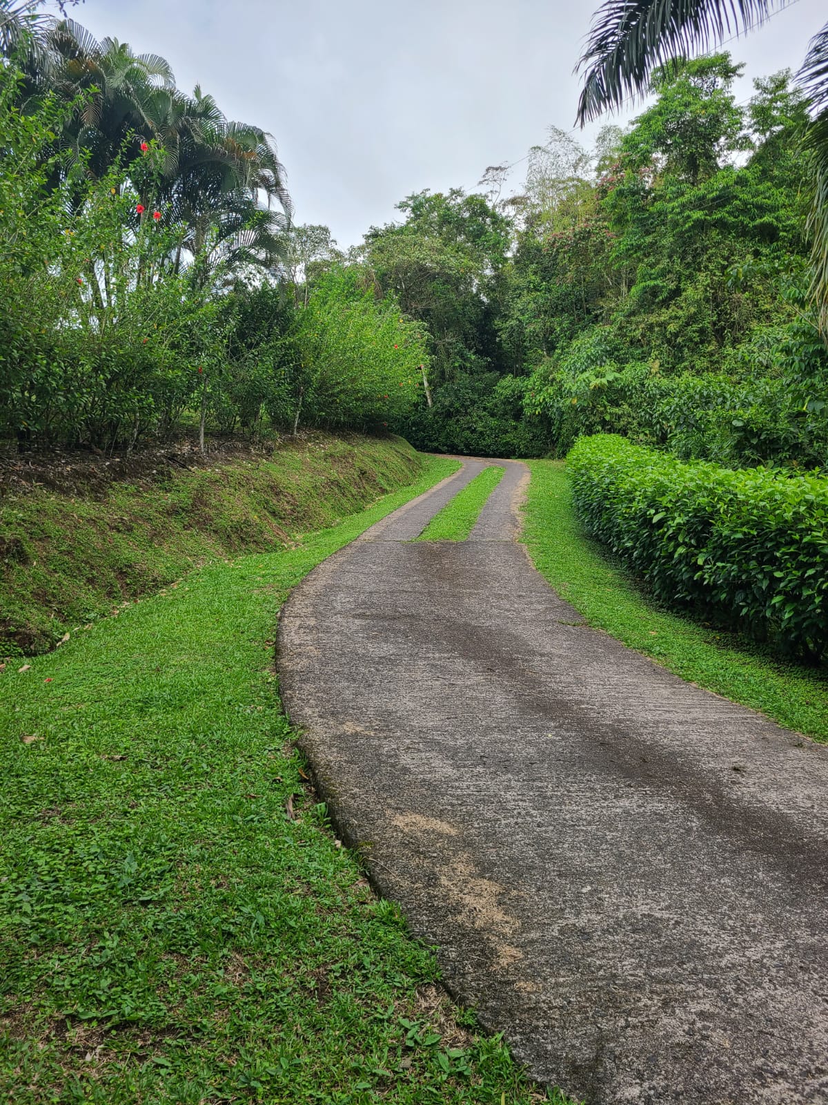 Lake View Home 2BD 2BA + Office + Gym in San Antonio, Nuevo Arenal photo 31